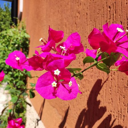Casapatrizia B&B Sirmione Exteriér fotografie