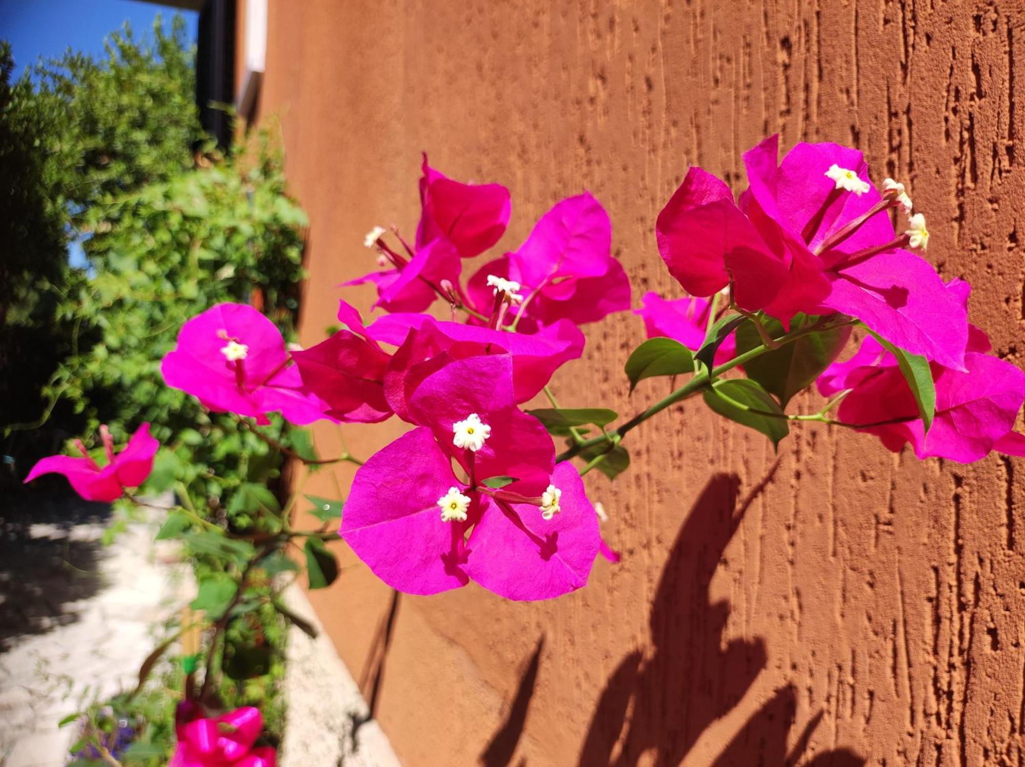 Casapatrizia B&B Sirmione Exteriér fotografie